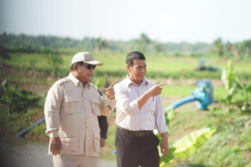 Presiden RI Prabowo Subianto didampingi Mentan Amran Sulaiman saat melakukan peninjauan di kampung Telaga Sari, Kabupaten Merauke, Minggu (03/11/2024)./Kementan.dok