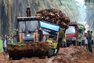 Sejumlah truk pengangkut kelapa sawit mengantre untuk melewati jalan rusak di Mesuji Raya, OKI, Sumatera Selatan, Rabu (11/1)./Ant