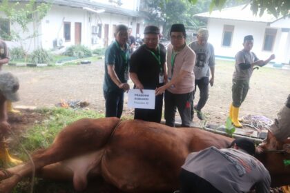 Penyembelehan hewan kuban Idul Adha 1446 Hijriah/2025 di Graha Insan Cita (GIC) Depok Jawa Barat pada Senin, 10 Juni 2025./KAHMI.dok